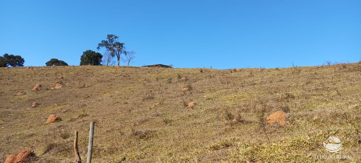 Sítio de 91 ha em Silveiras, SP