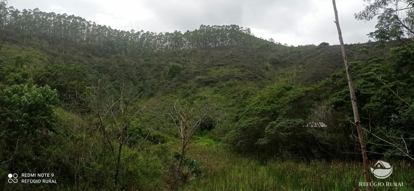 Sítio de 24 ha em São José dos Campos, SP