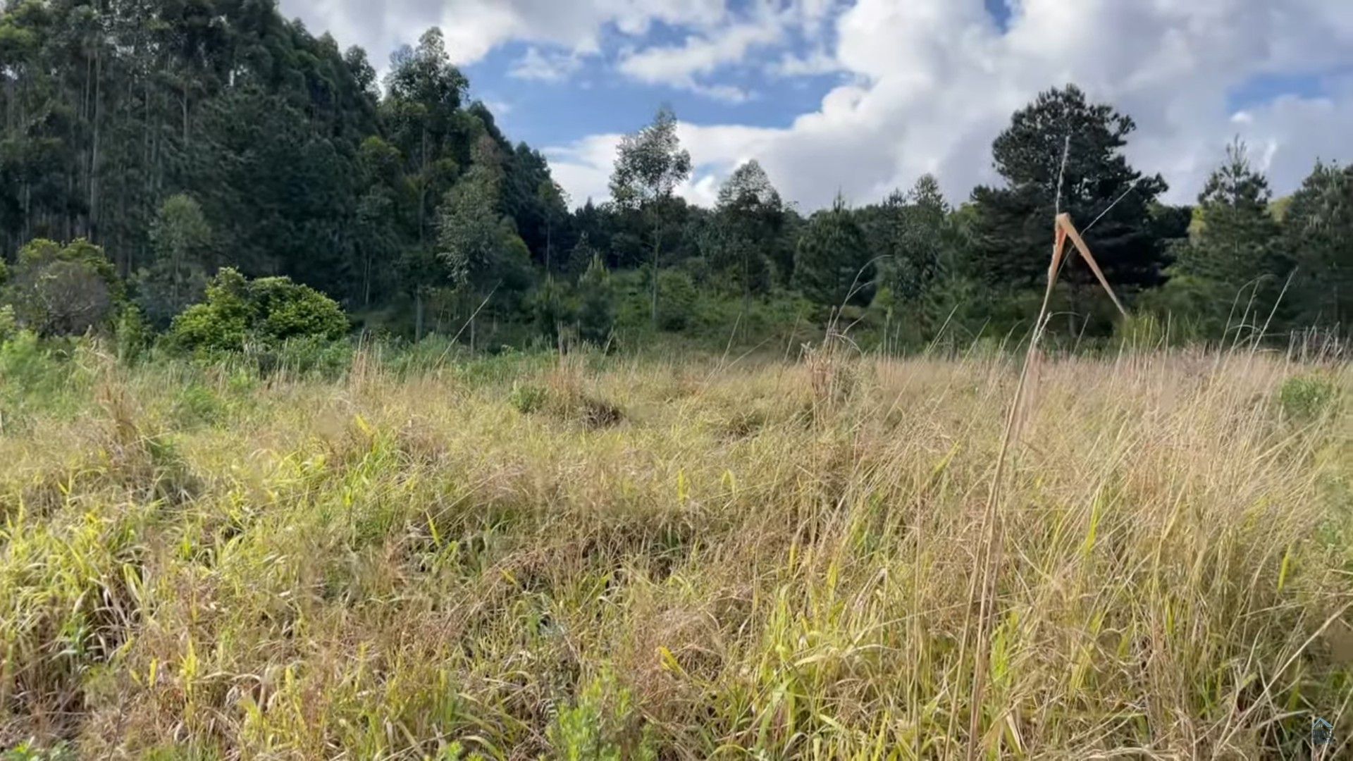 Terreno de 14 ha em Caraá, RS