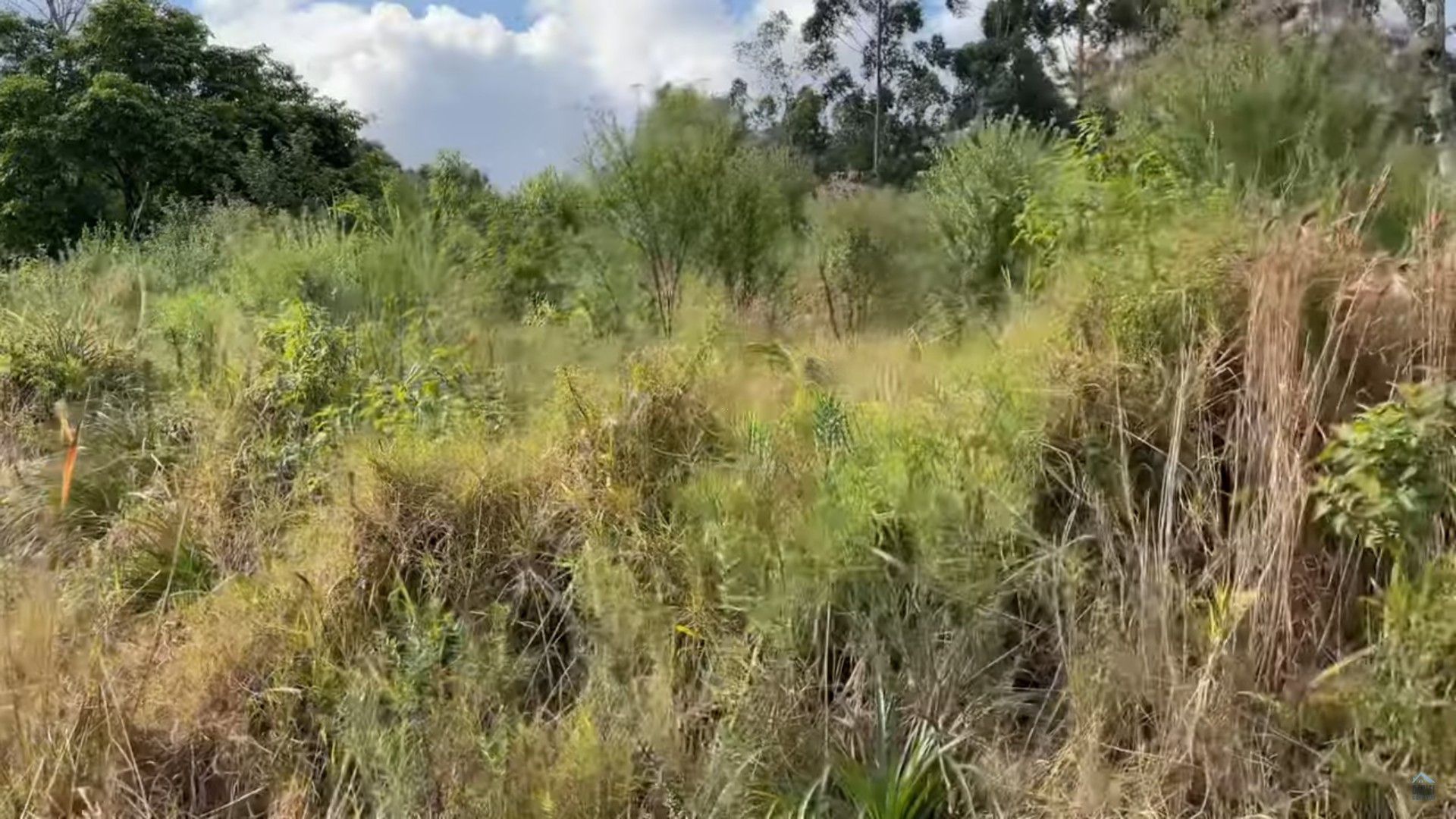 Terreno de 14 ha em Caraá, RS