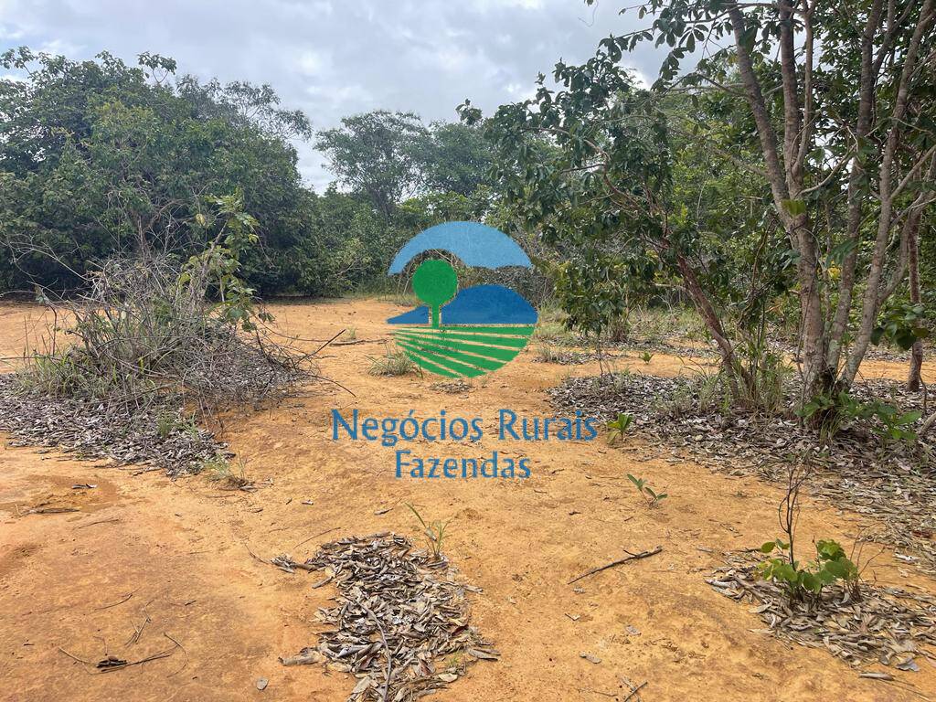 Fazenda de 208 ha em Uruaçu, GO