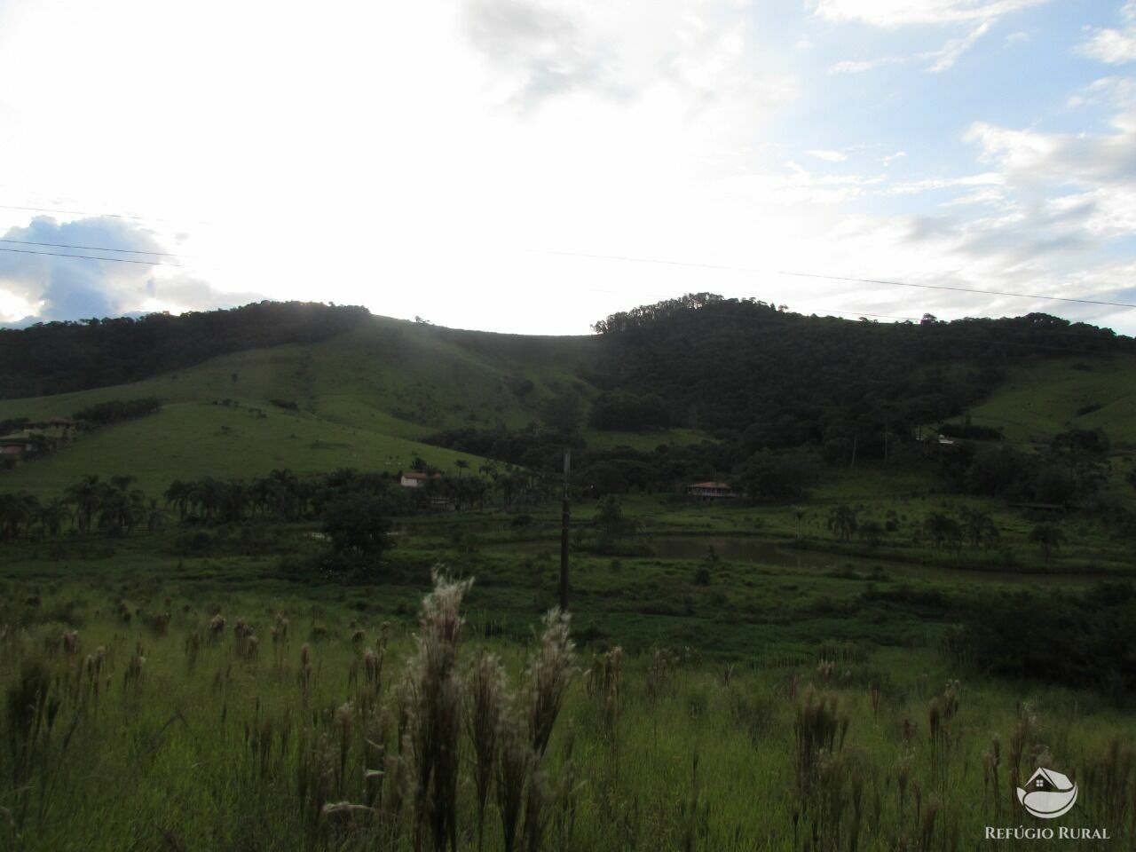 Fazenda de 28 ha em Itapeva, MG