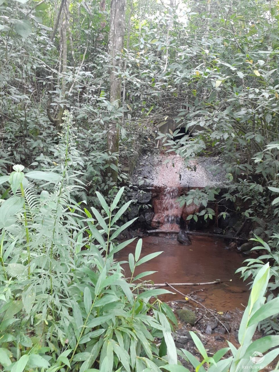 Chácara de 5.000 m² em Monteiro Lobato, SP