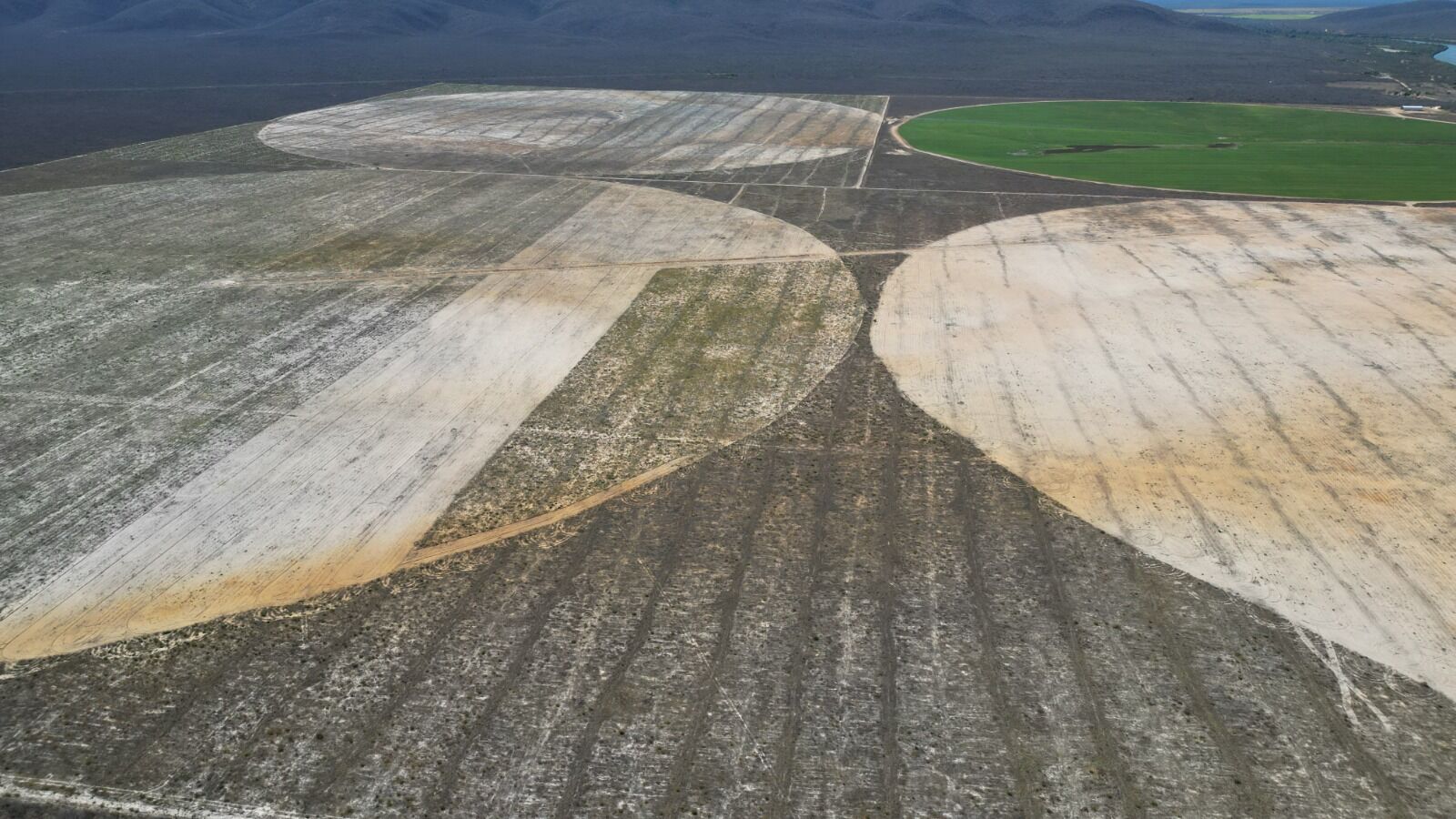 Fazenda de 1.020 ha em Barra, BA