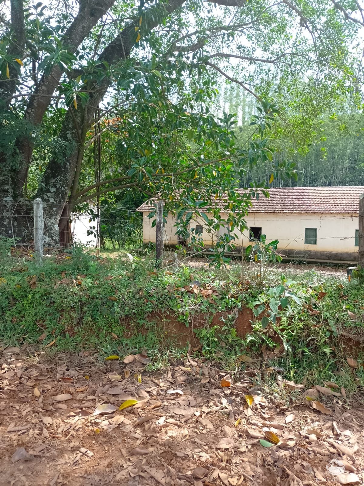 Fazenda de 331 ha em Igaratá, SP