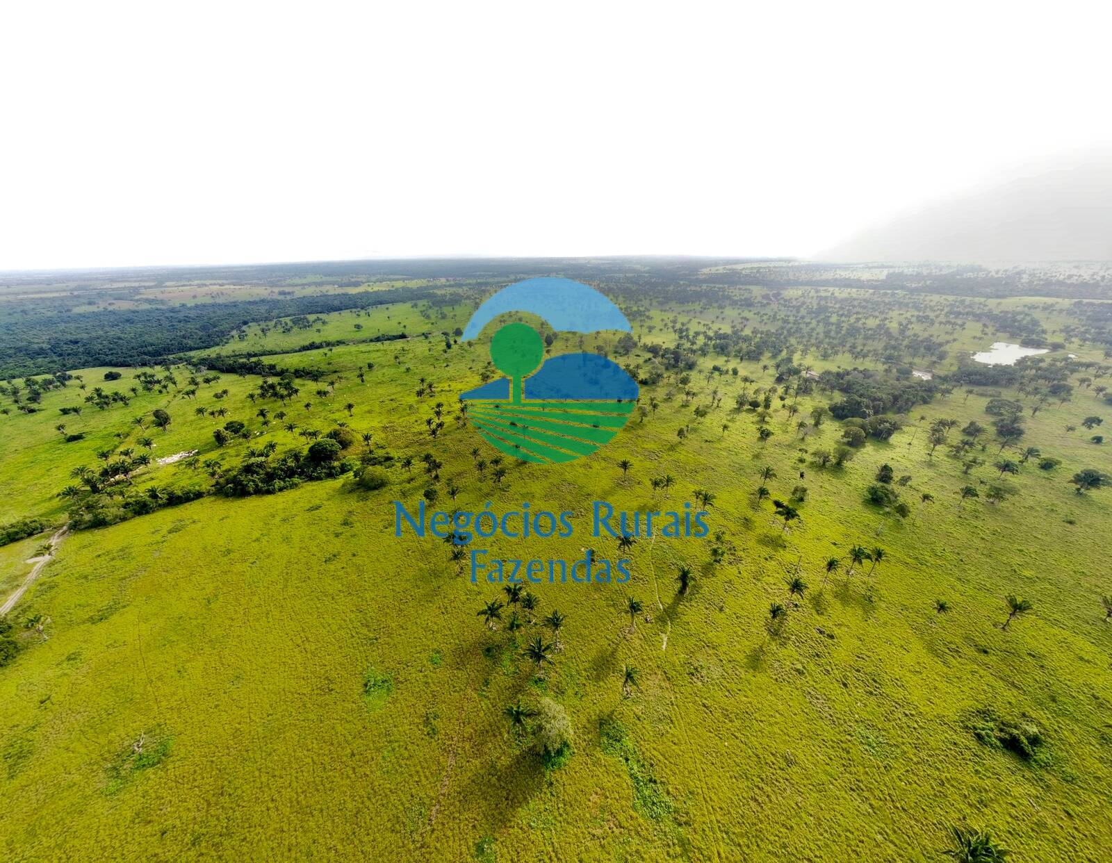 Fazenda de 1.621 ha em Wanderlândia, TO