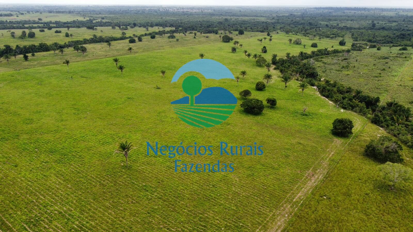 Fazenda de 1.621 ha em Wanderlândia, TO