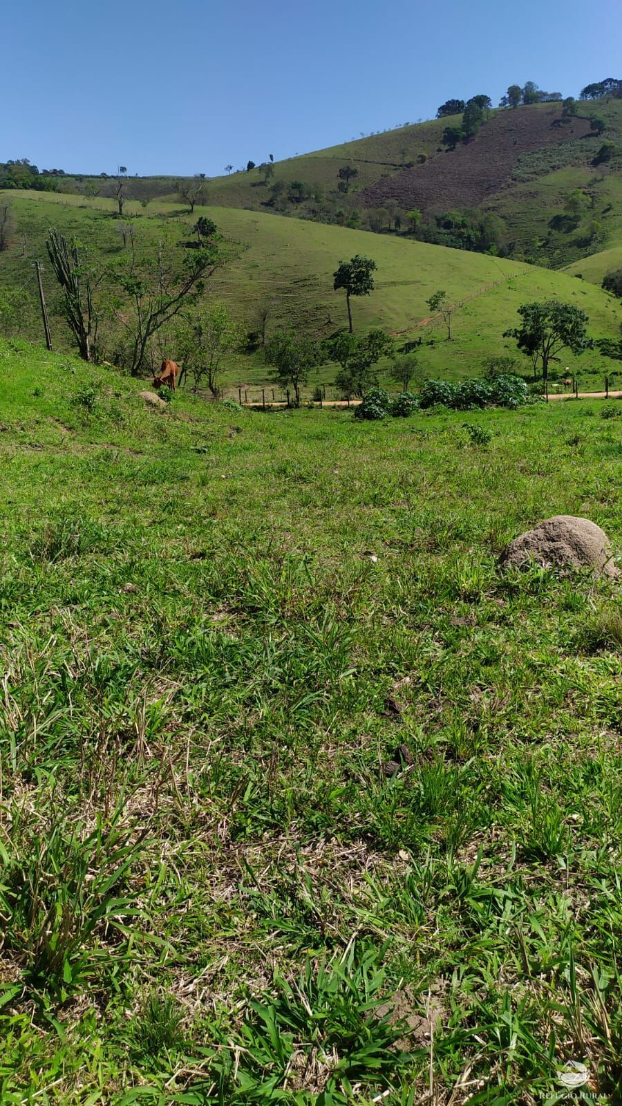 Terreno de 16 ha em Paraisópolis, MG
