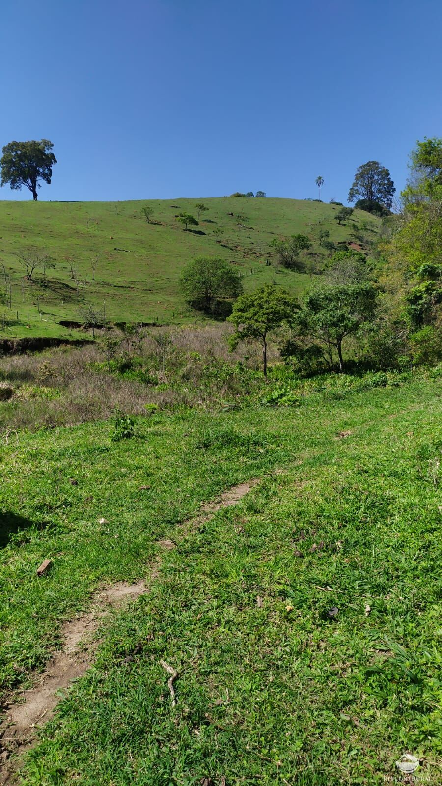 Terreno de 16 ha em Paraisópolis, MG