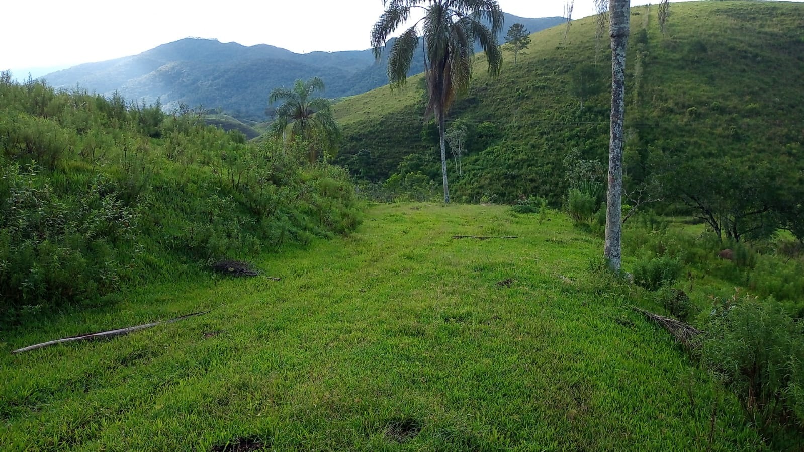 Fazenda de 90 ha em São José dos Campos, SP