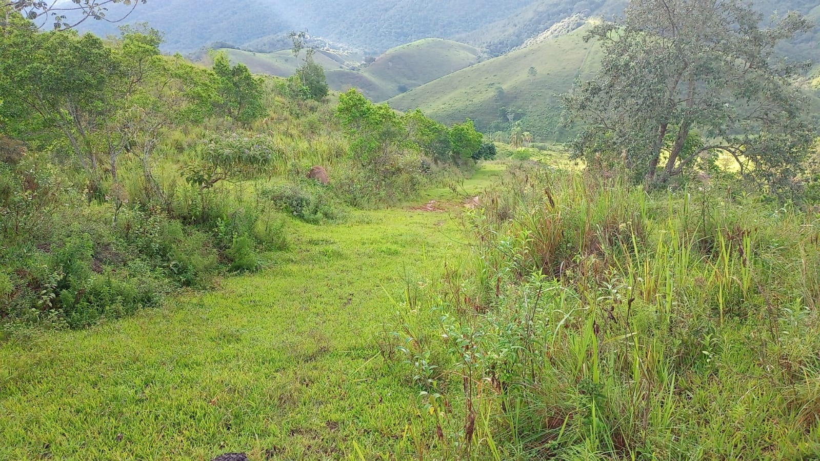 Fazenda de 90 ha em São José dos Campos, SP