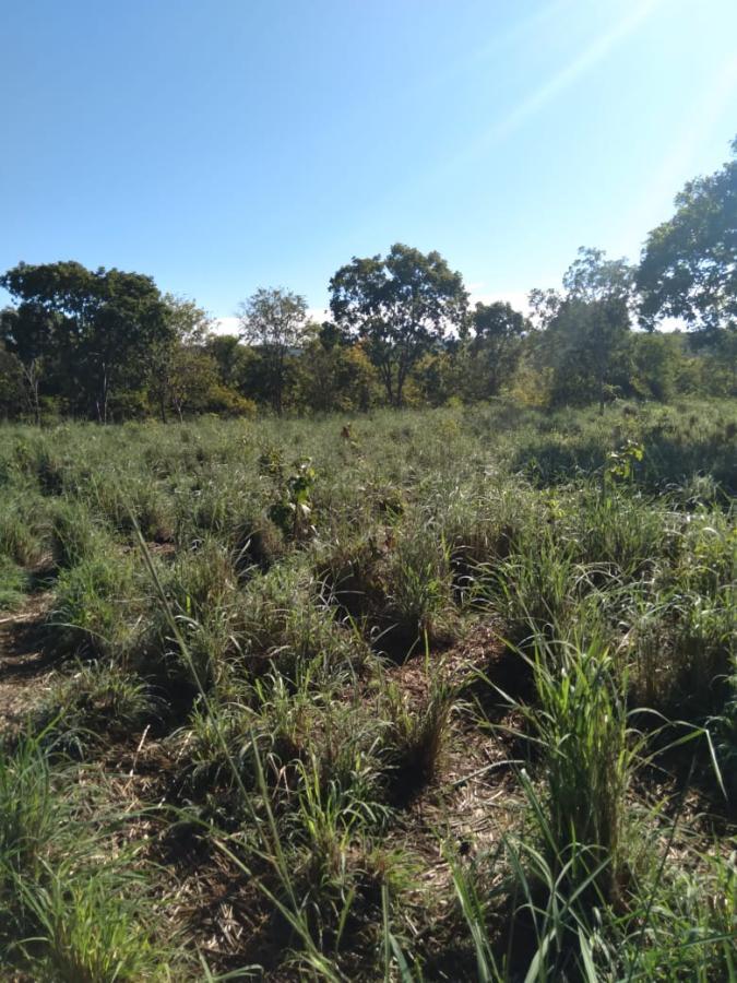 Fazenda de 189 ha em Ponto Chique, MG