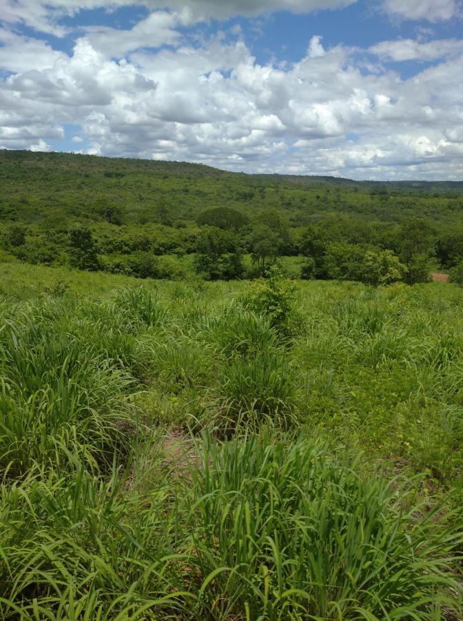 Fazenda de 189 ha em Ponto Chique, MG