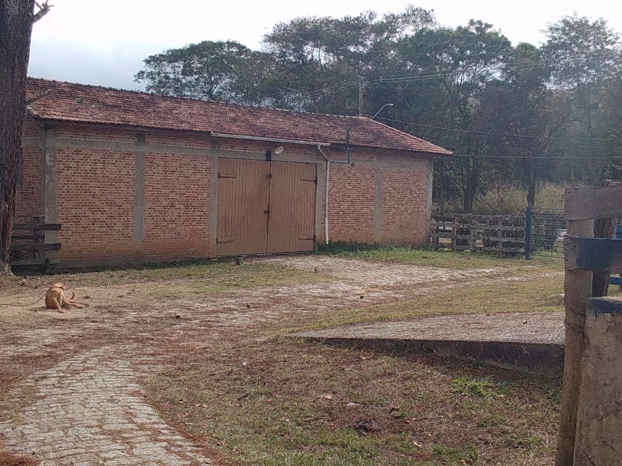 Fazenda de 92 ha em Pindamonhangaba, SP