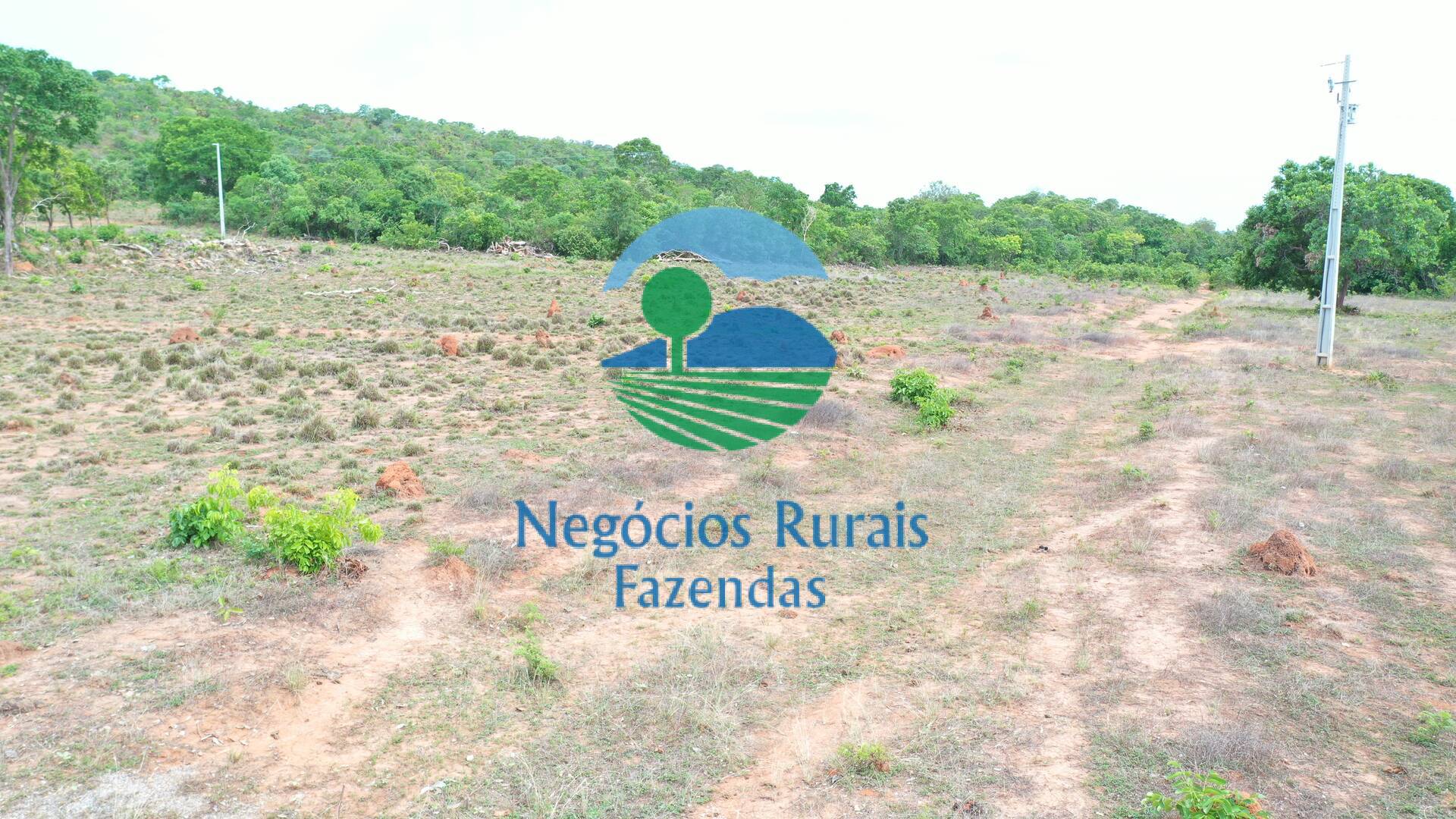 Fazenda de 1.403 ha em São Salvador do Tocantins, TO