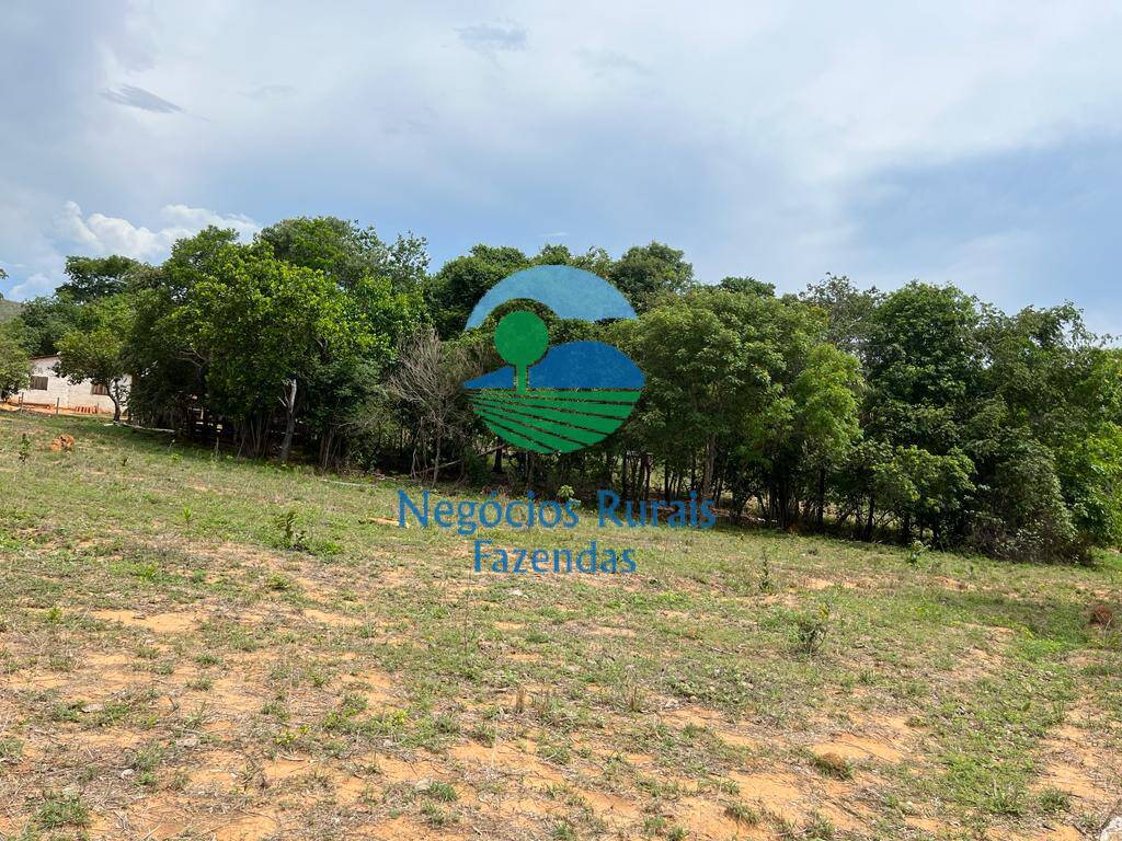 Fazenda de 1.403 ha em São Salvador do Tocantins, TO