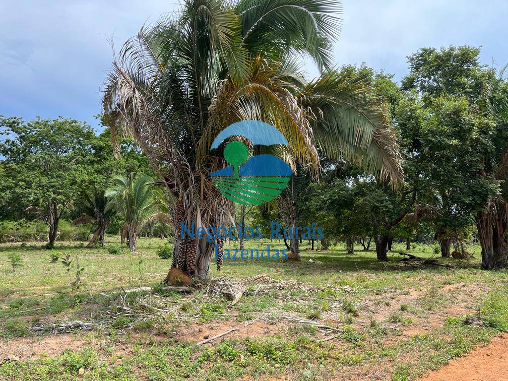 Fazenda de 1.403 ha em São Salvador do Tocantins, TO