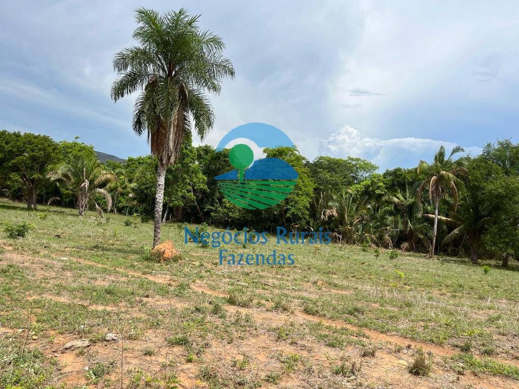 Fazenda de 1.403 ha em São Salvador do Tocantins, TO