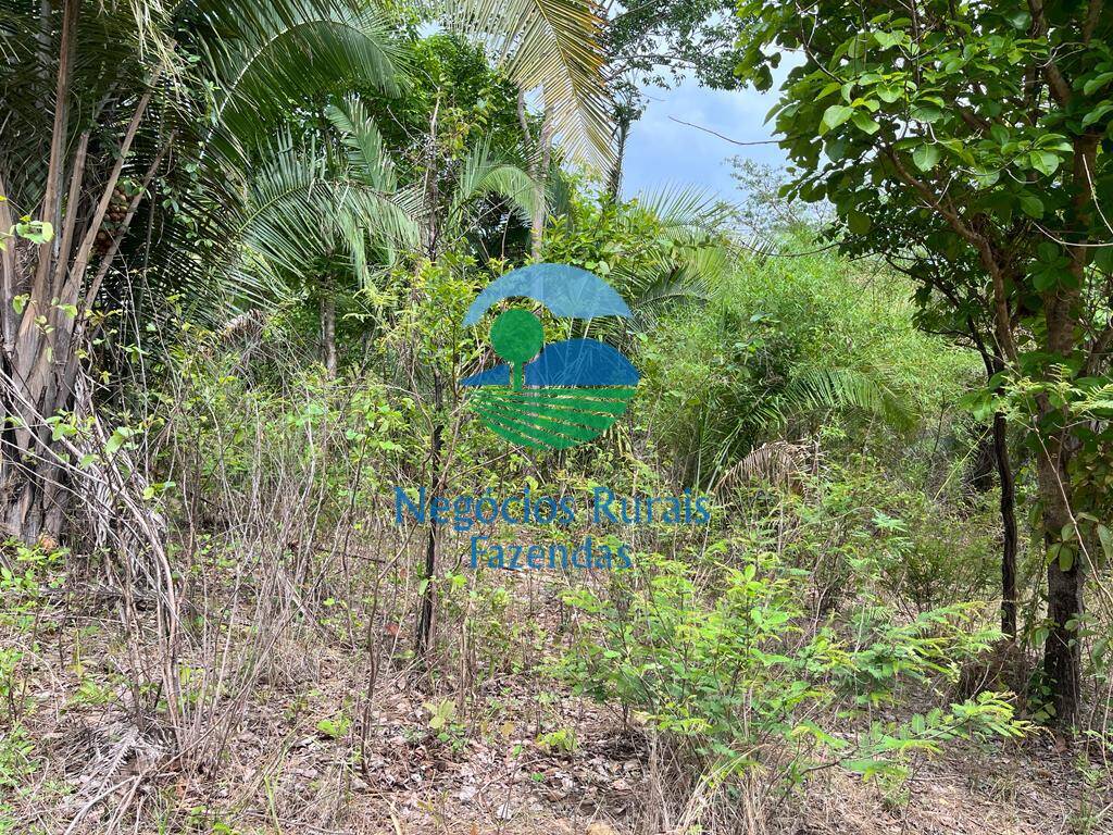 Fazenda de 1.403 ha em São Salvador do Tocantins, TO