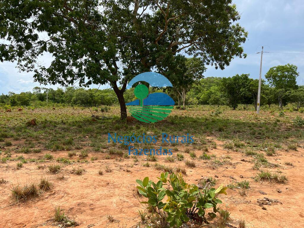 Fazenda de 1.403 ha em São Salvador do Tocantins, TO