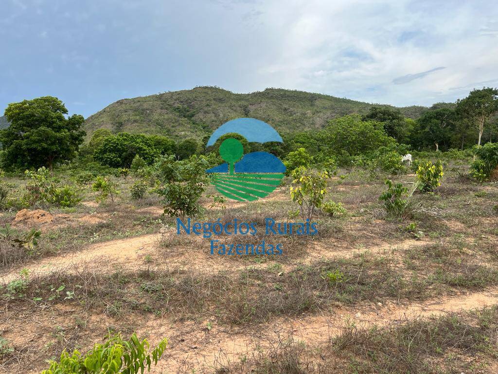 Fazenda de 1.403 ha em São Salvador do Tocantins, TO