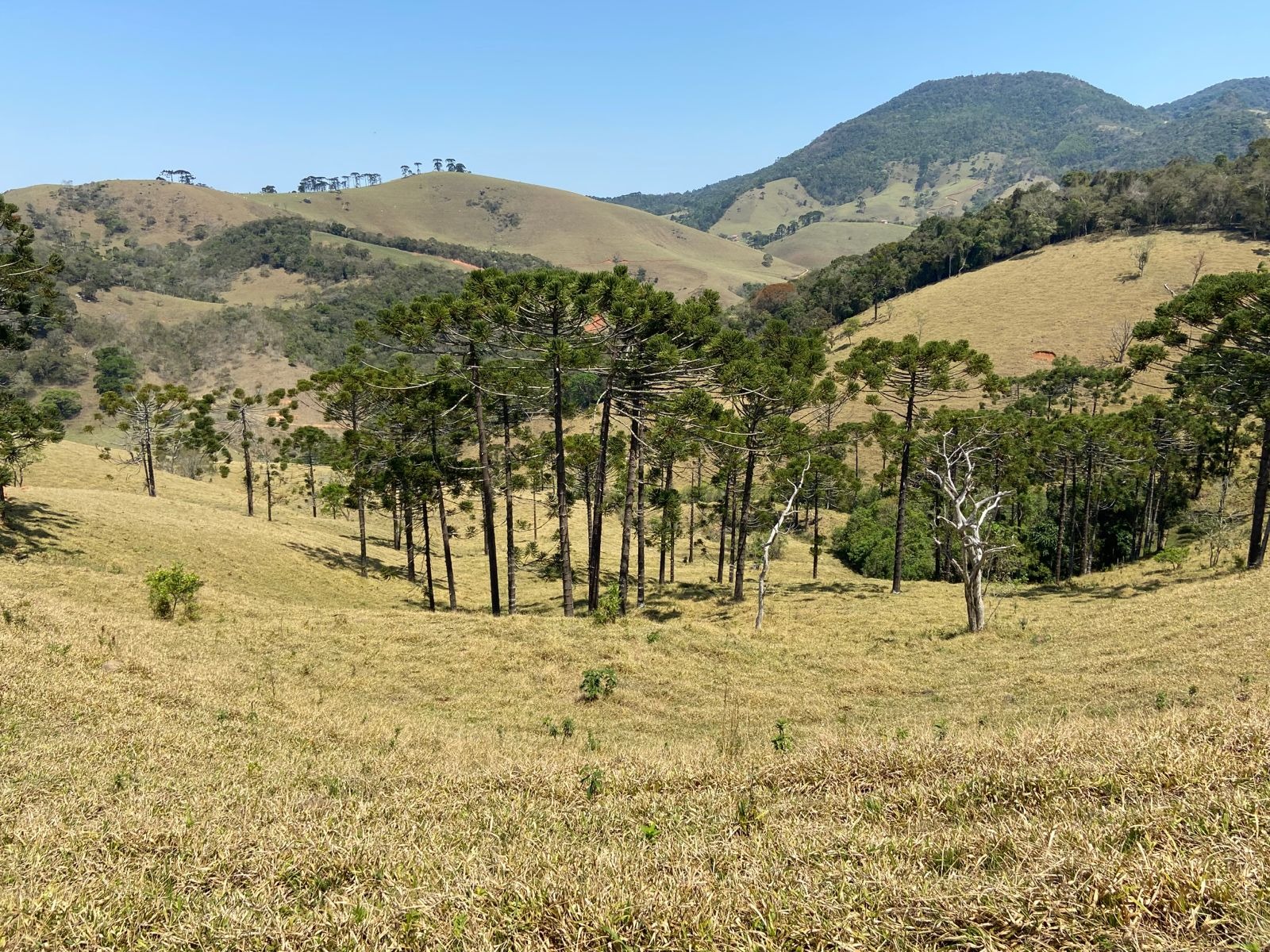 Terreno de 17 ha em Sapucaí-Mirim, MG