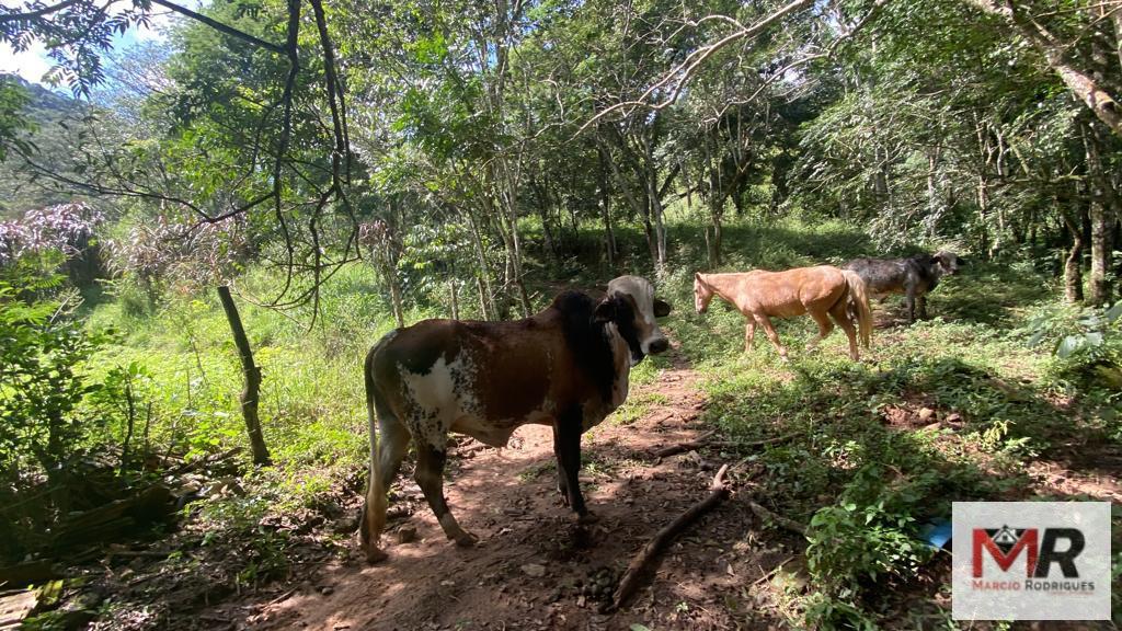 Terreno de 2 ha em Estiva, MG