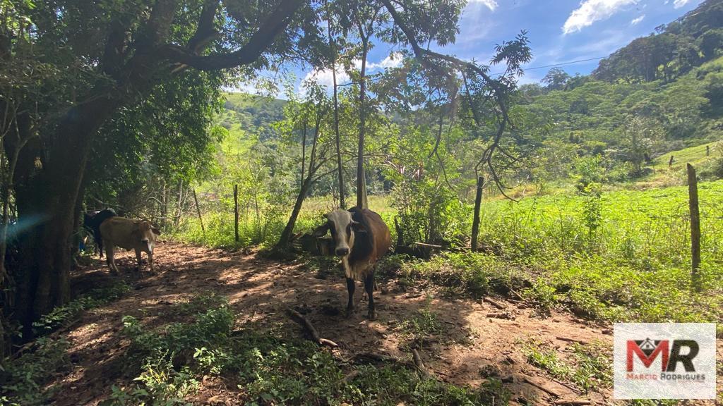 Terreno de 2 ha em Estiva, MG