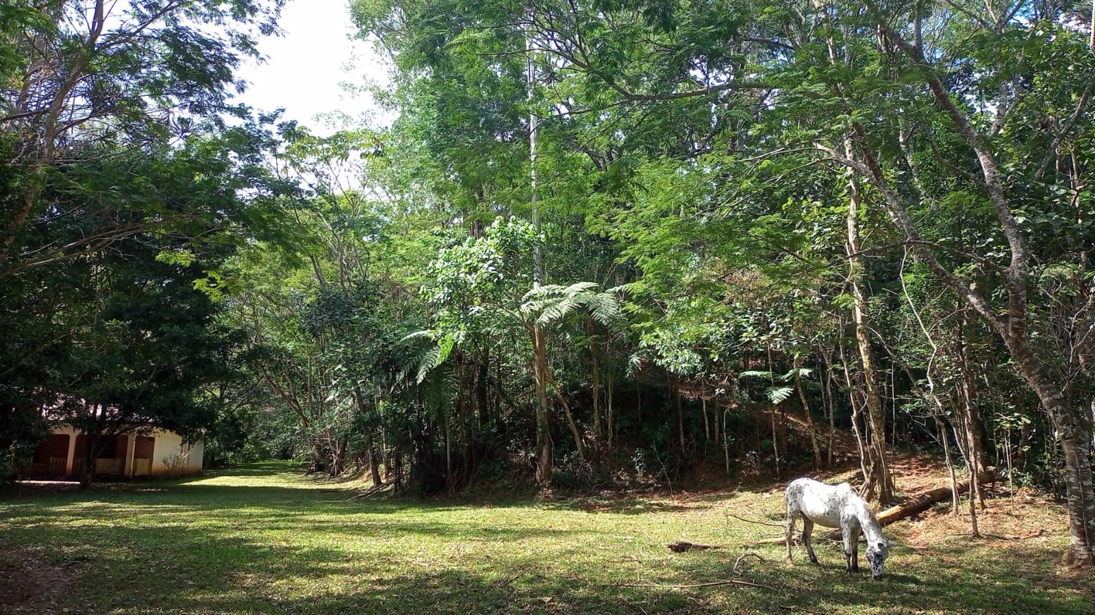 Sítio de 2 ha em São José dos Campos, SP