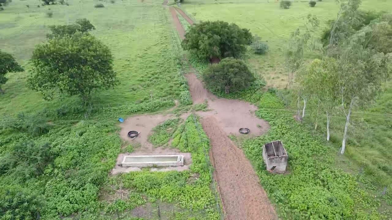 Terreno de 1.310 ha em Morpará, BA