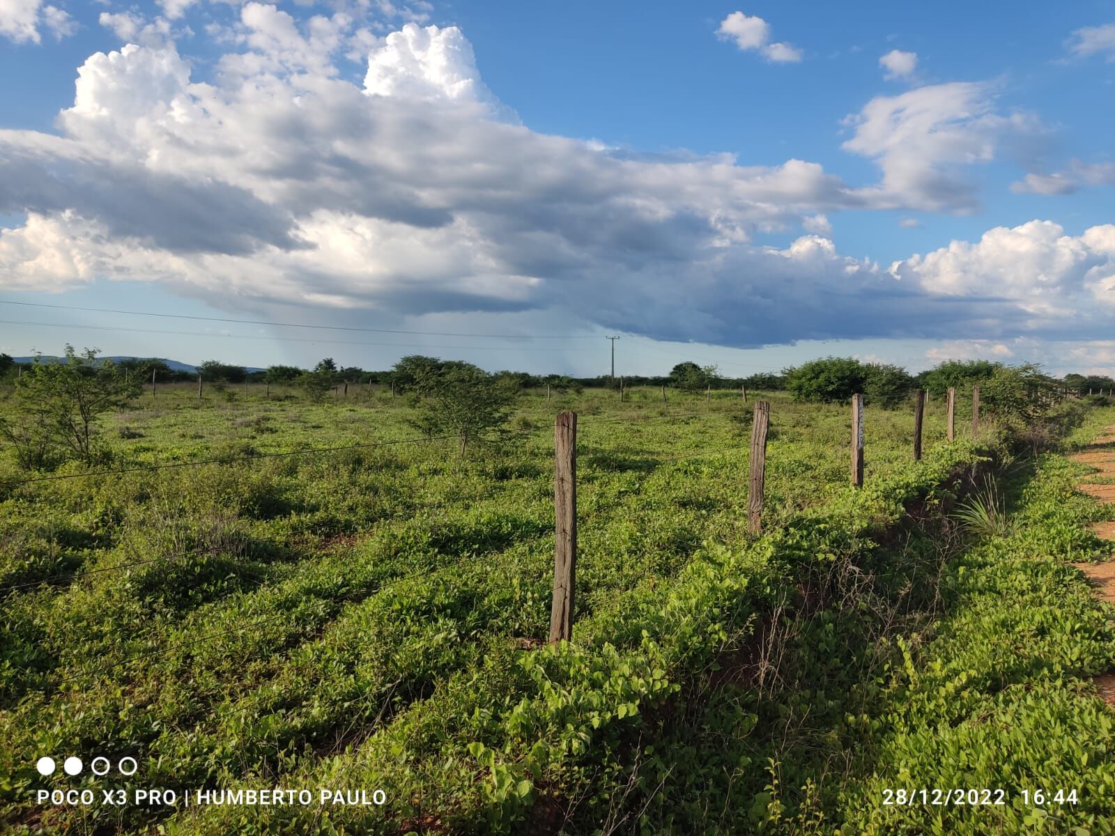 Terreno de 1.310 ha em Morpará, BA