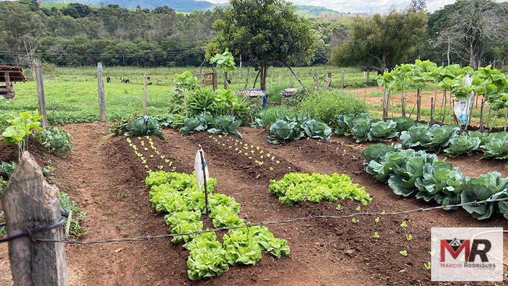 Fazenda de 48 ha em São Gonçalo do Sapucaí, MG