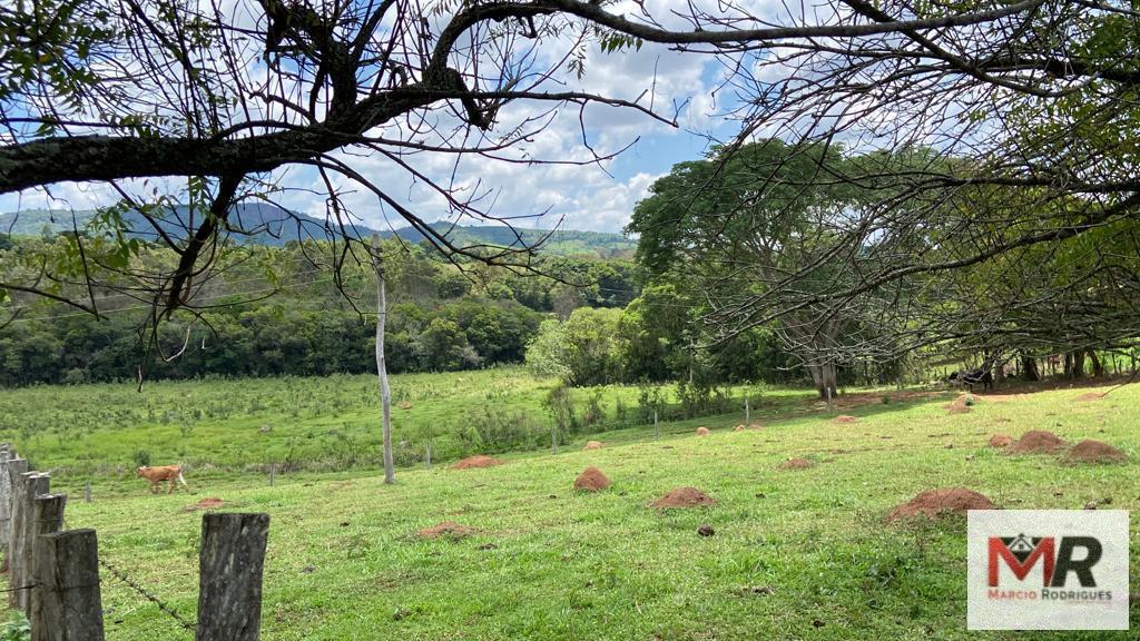 Fazenda de 48 ha em São Gonçalo do Sapucaí, MG