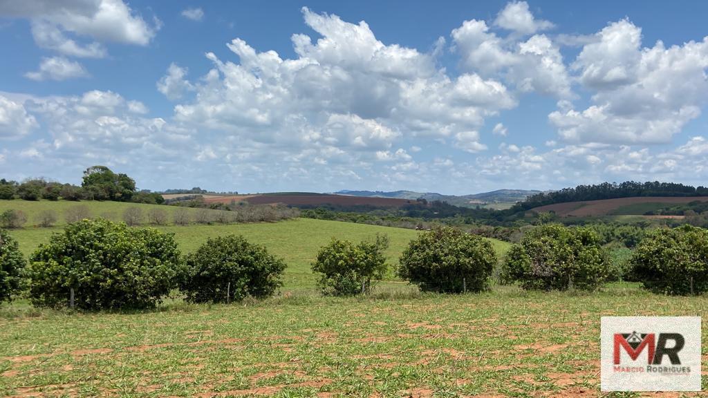 Fazenda de 48 ha em São Gonçalo do Sapucaí, MG