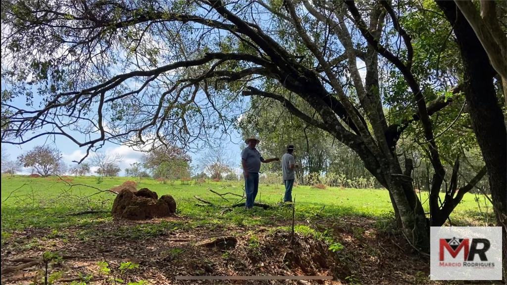 Fazenda de 48 ha em São Gonçalo do Sapucaí, MG