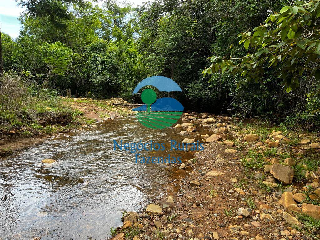 Fazenda de 1.510 ha em São João d'Aliança, GO