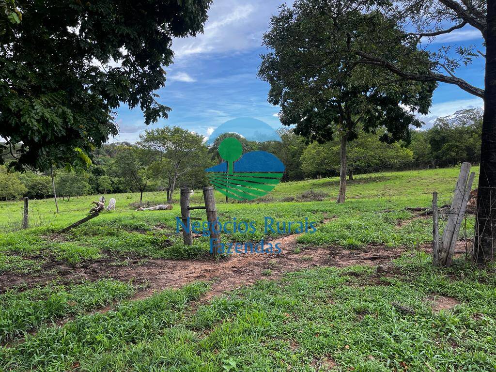 Fazenda de 1.510 ha em São João d'Aliança, GO