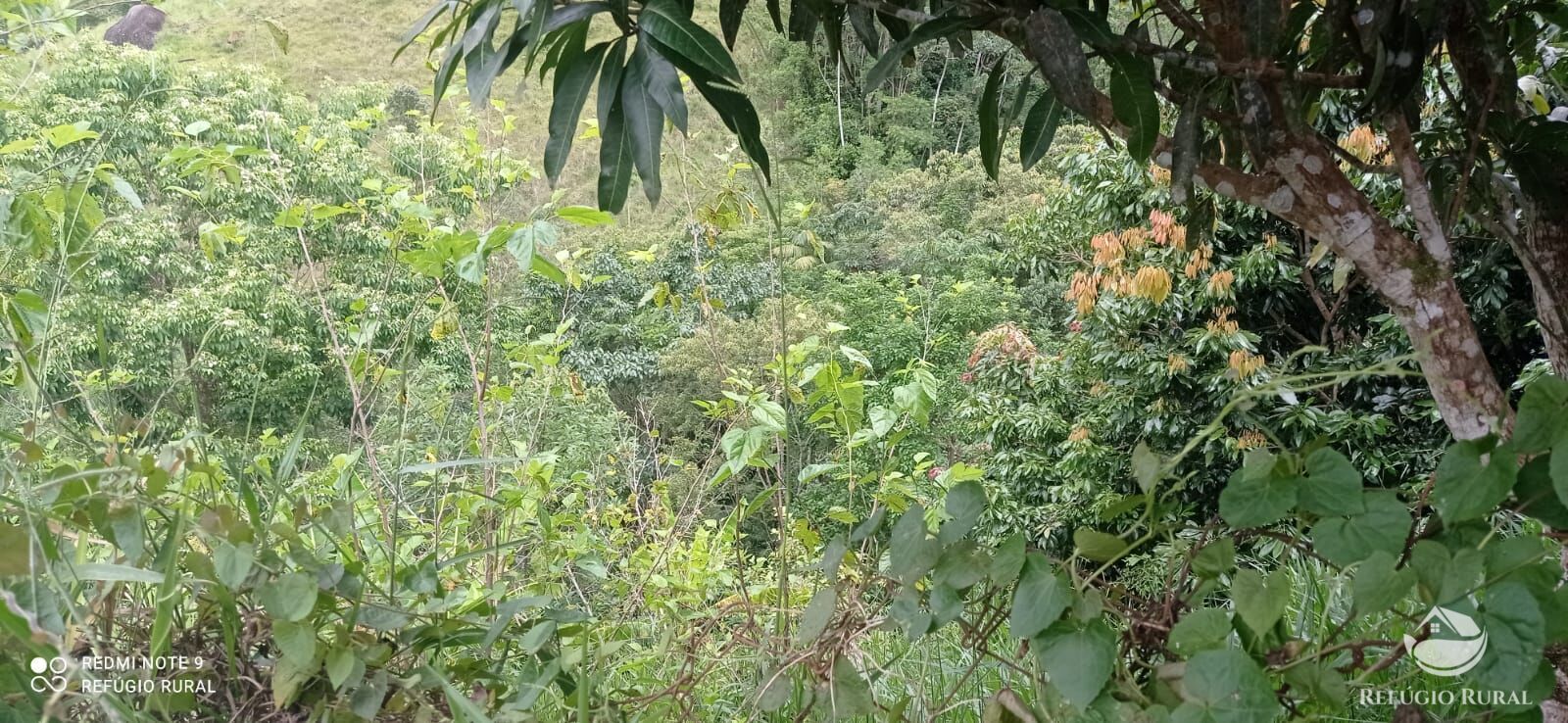 Chácara de 800 m² em São José dos Campos, SP