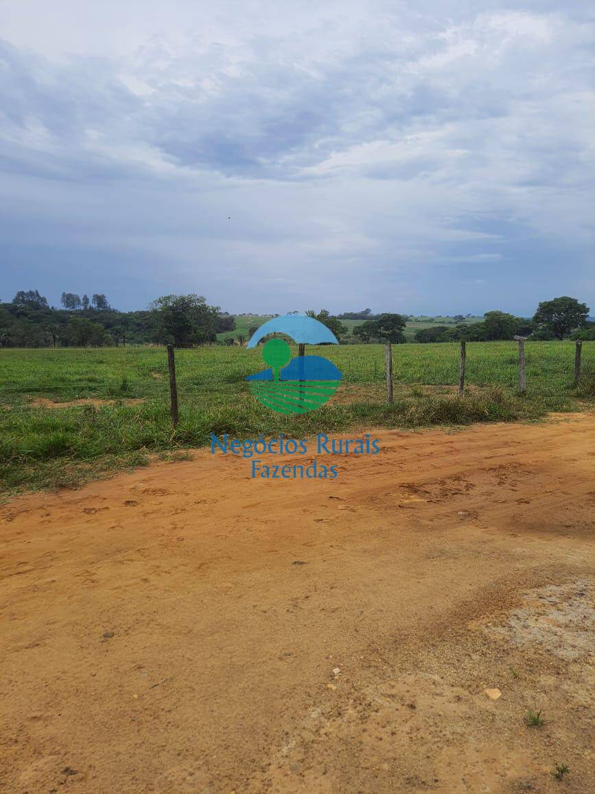 Fazenda de 193 ha em Cocalzinho de Goiás, GO