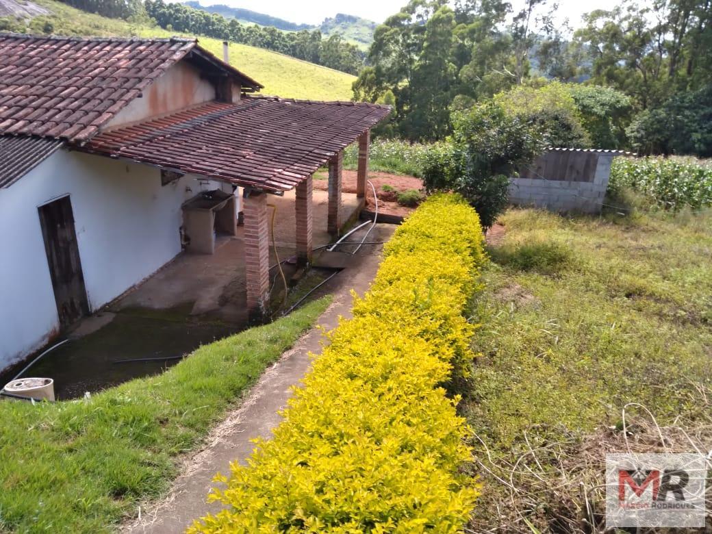 Sítio de 2 ha em Toledo, MG