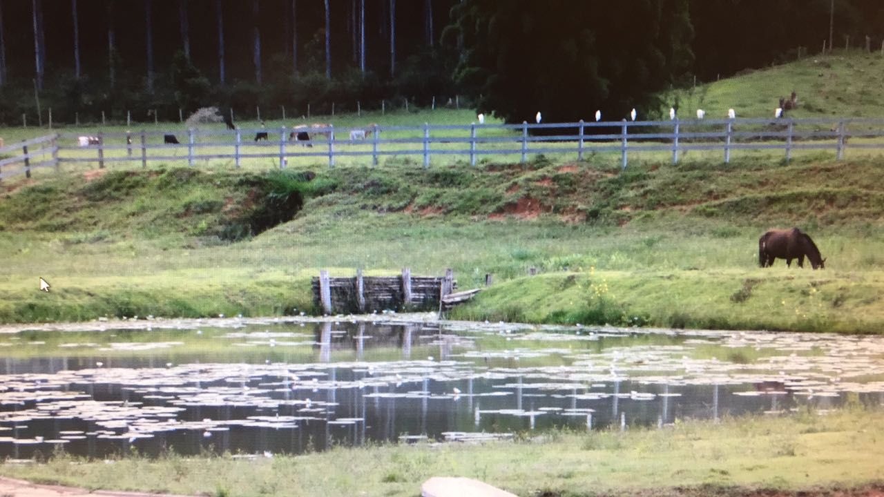 Fazenda de 97 ha em Lagoinha, SP