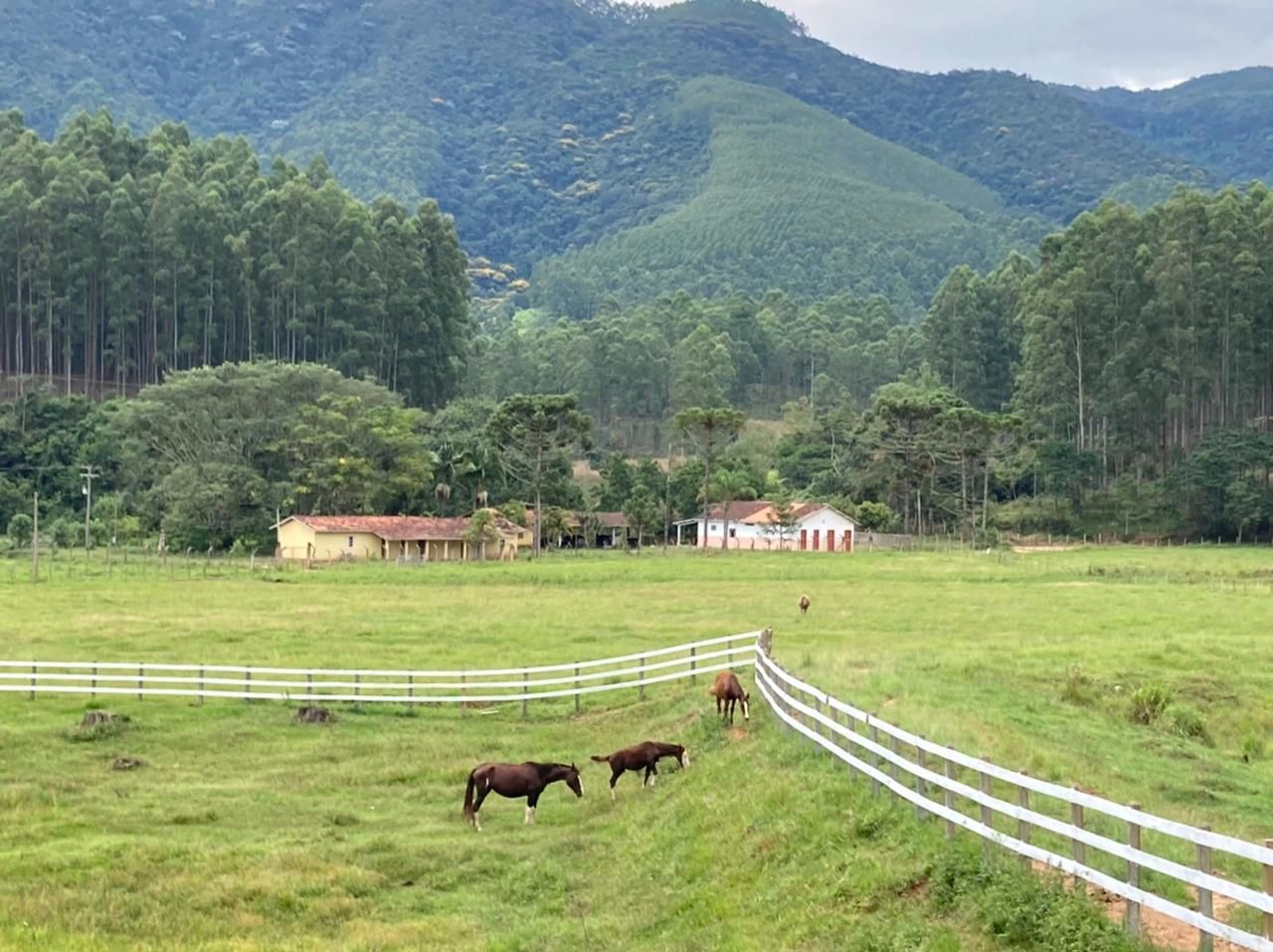 Fazenda de 97 ha em Lagoinha, SP