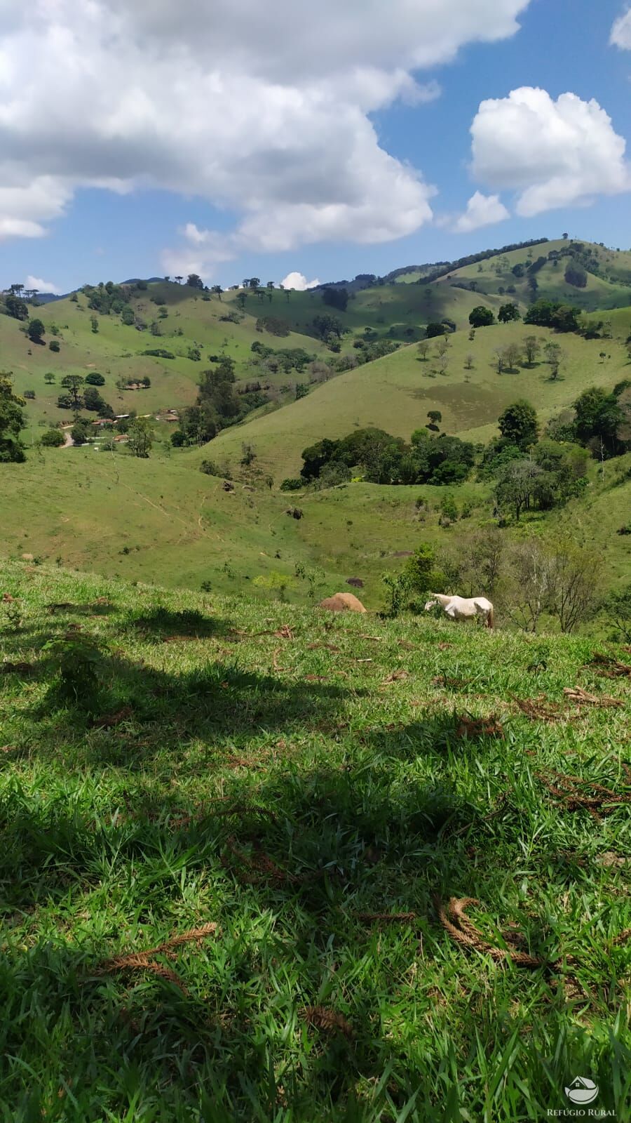 Sítio de 24 ha em Paraisópolis, MG