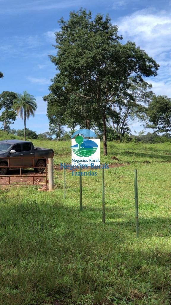 Fazenda de 396 ha em Campinorte, GO