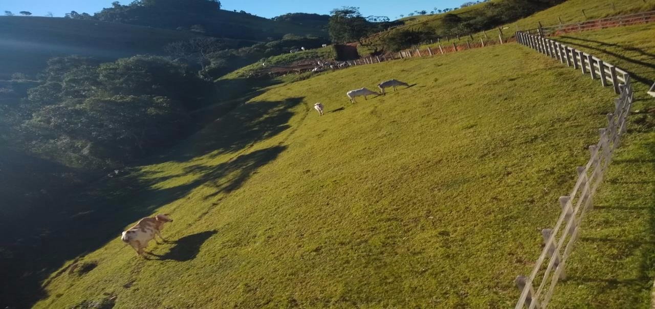 Fazenda de 250 ha em Cambuí, MG