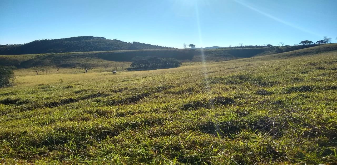 Fazenda de 250 ha em Cambuí, MG