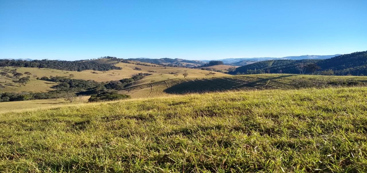 Fazenda de 250 ha em Cambuí, MG