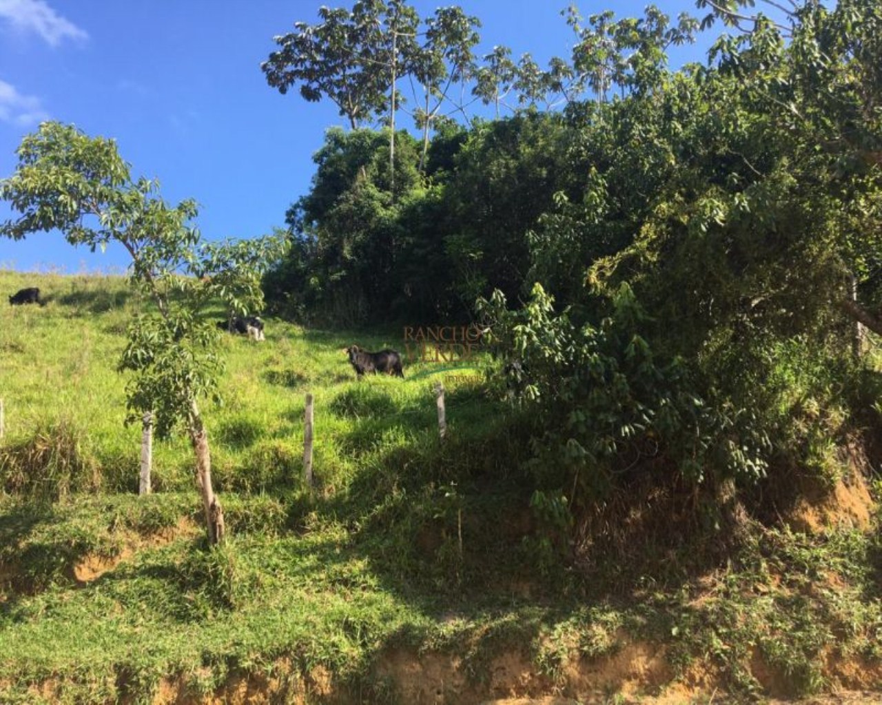 Fazenda de 242 ha em São Luiz do Paraitinga, SP