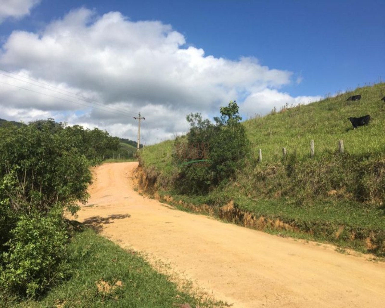 Fazenda de 242 ha em São Luiz do Paraitinga, SP