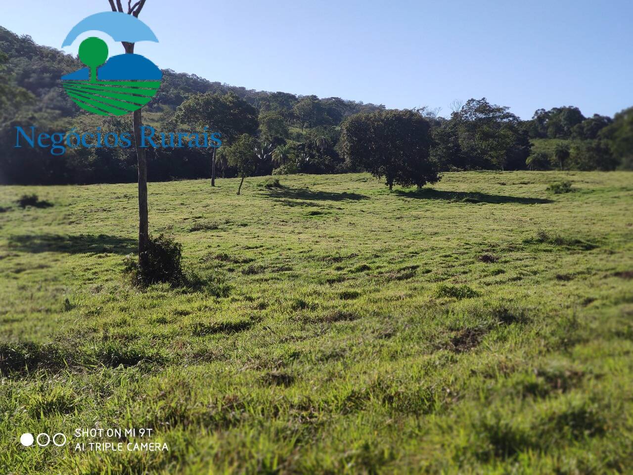 Fazenda de 1.301 ha em Uruaçu, GO
